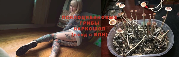 гашик Вязники