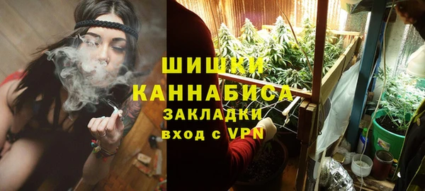 сатива Горнозаводск