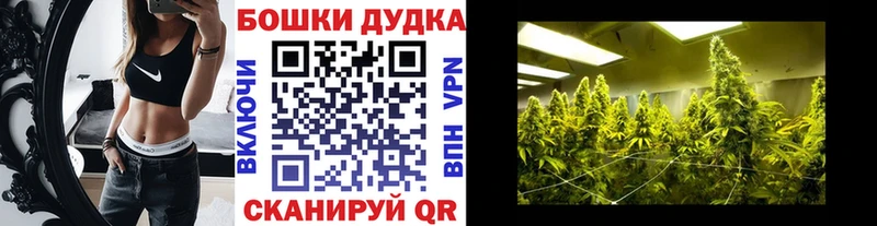 Купить  Анжеро-Судженск  Шишки марихуана SATIVA & INDICA 